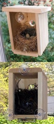 10 Домики для птиц в саду своими руками, домики для птиц на даче своими руками, необычные домики для